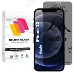 محافظ صفحه نمایش شهر گلس مدل Prvns مناسب برای گوشی موبایل اپل iPhone 12