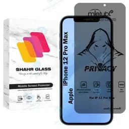محافظ صفحه نمایش شهر گلس مدل Prvns مناسب برای گوشی موبایل اپل iPhone 12 Pro Max