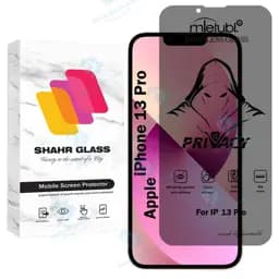 محافظ صفحه نمایش شهر گلس مدل Prvns مناسب برای گوشی موبایل اپل iPhone 13 Pro