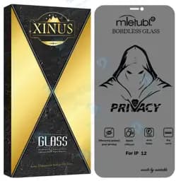 محافظ صفحه نمایش ژینوس مدل Prvnsx مناسب برای گوشی موبایل اپل iPhone 12