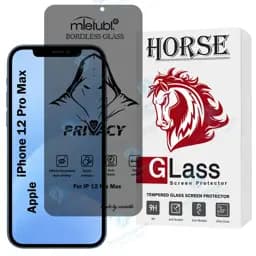 محافظ صفحه نمایش هورس مدل Prvnsh مناسب برای گوشی موبایل اپل iPhone 12 Pro Max
