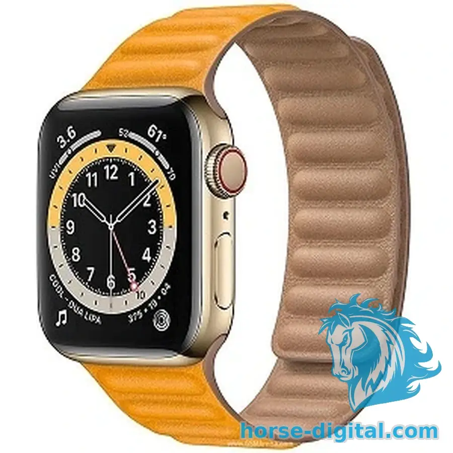 لوازم جانبی اپل واچ سری 6 44mm